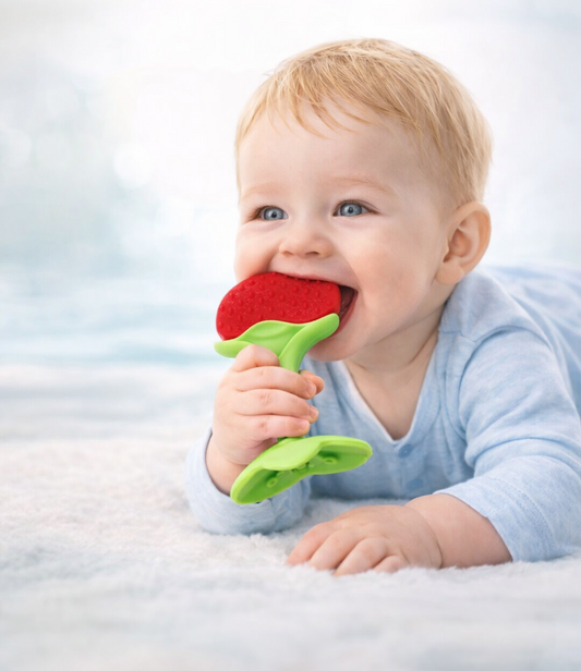 Soft Silicone Fruit Teething Toys